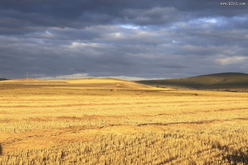 金色的麦田图片大全
