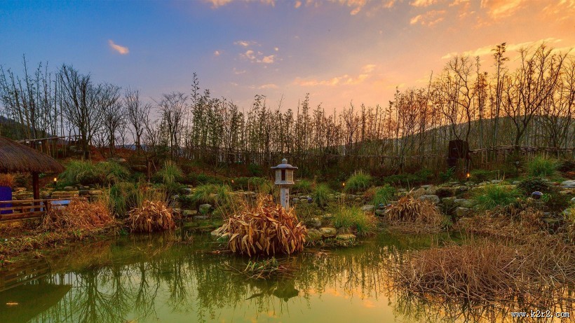 初春摄影风景图片