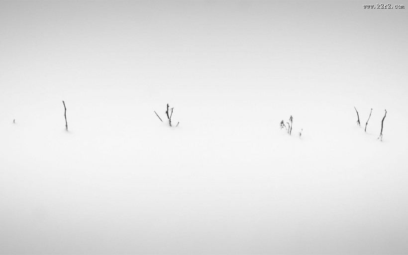 冬季秀丽雪景图片