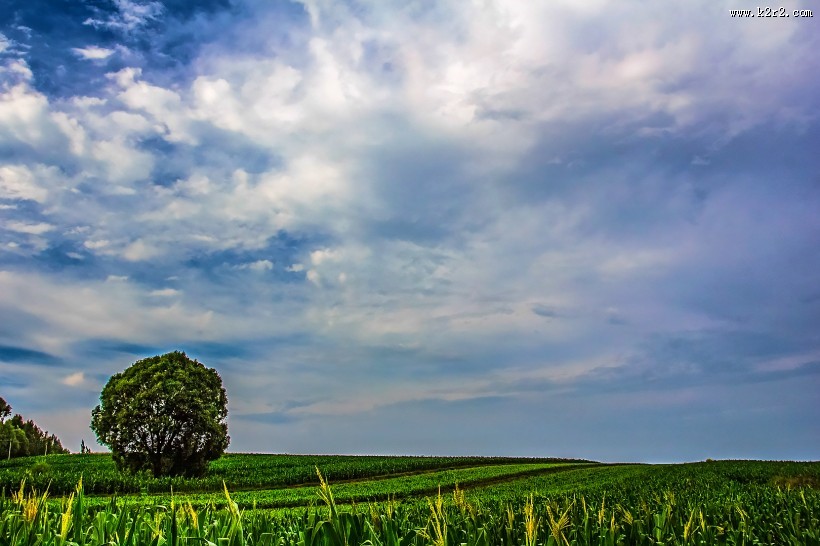 黄土高坡地形风景图片大全