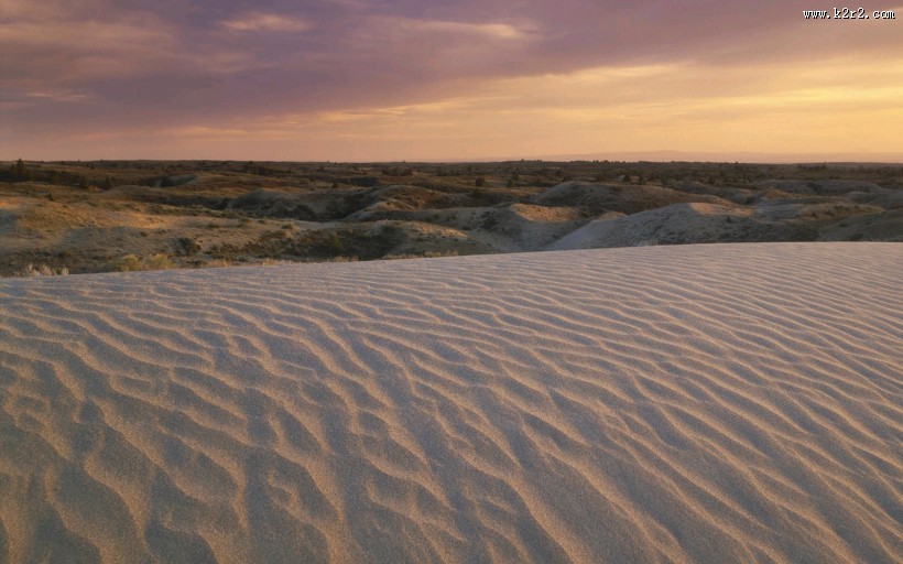 沙漠绿洲美景图片