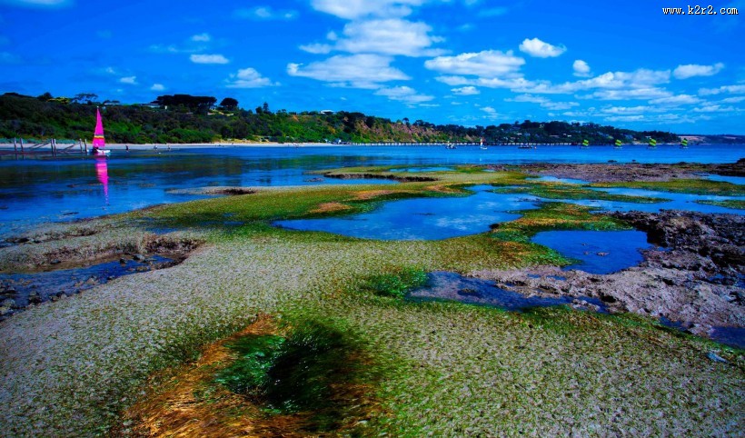 美丽的海湾风光图片大全