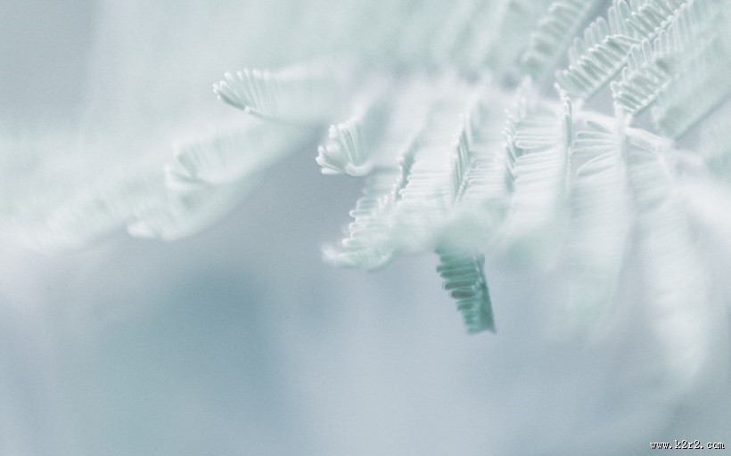 冬日唯美雪景图片