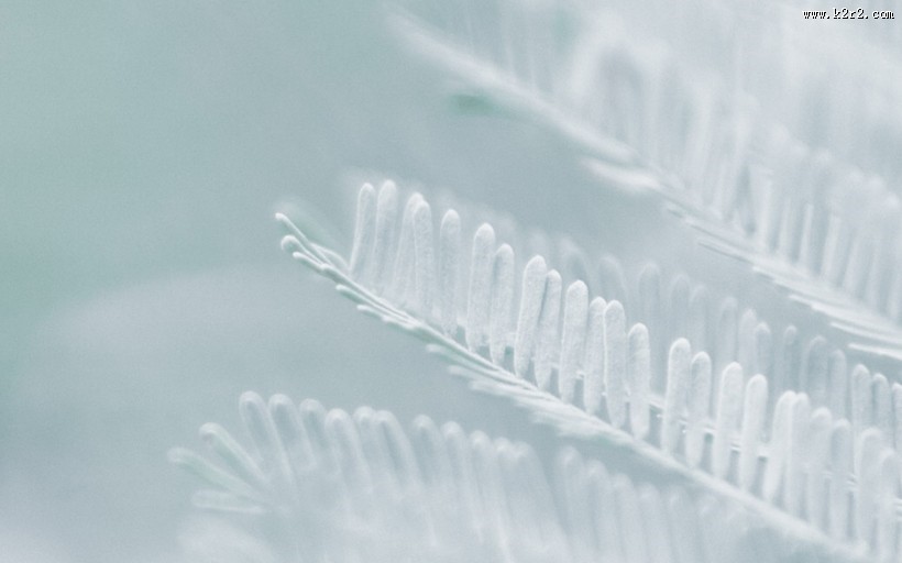 冬日唯美雪景图片