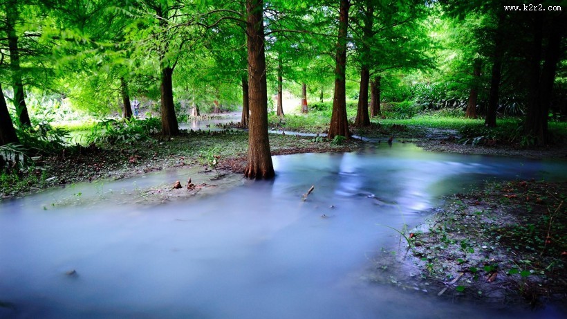幽静的自然景色图片大全