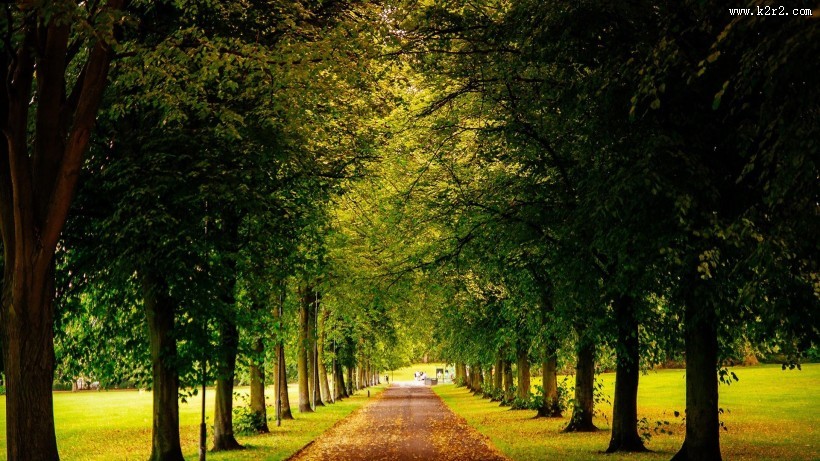 幽静的自然景色图片大全