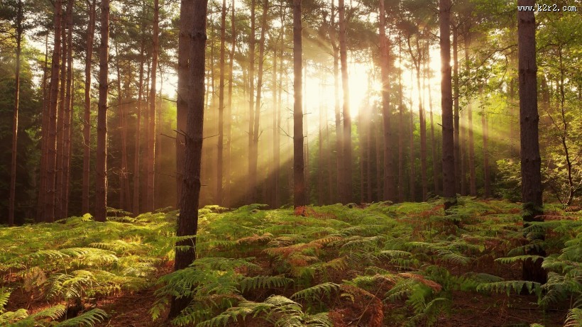 唯美的秋冬景色图片
