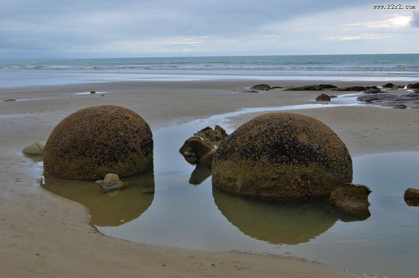 新西兰摩拉基大圆石图片