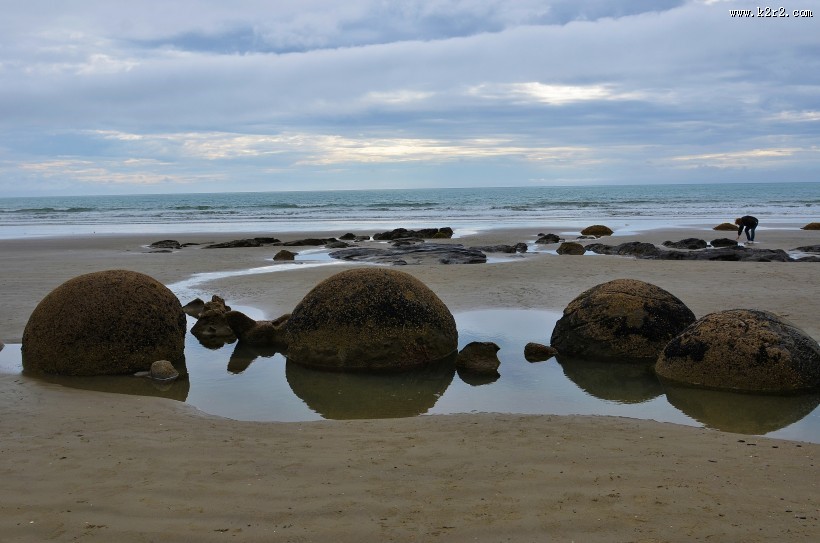 新西兰摩拉基大圆石图片