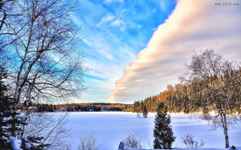 唯美的雪景图片