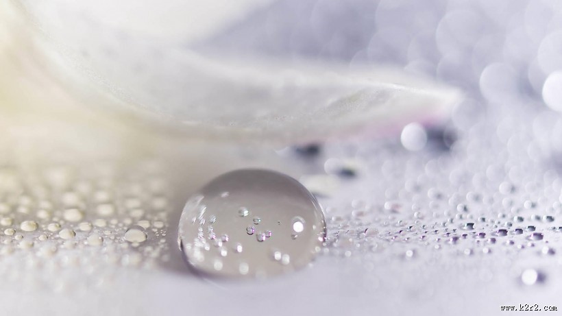 植物上的露珠图片