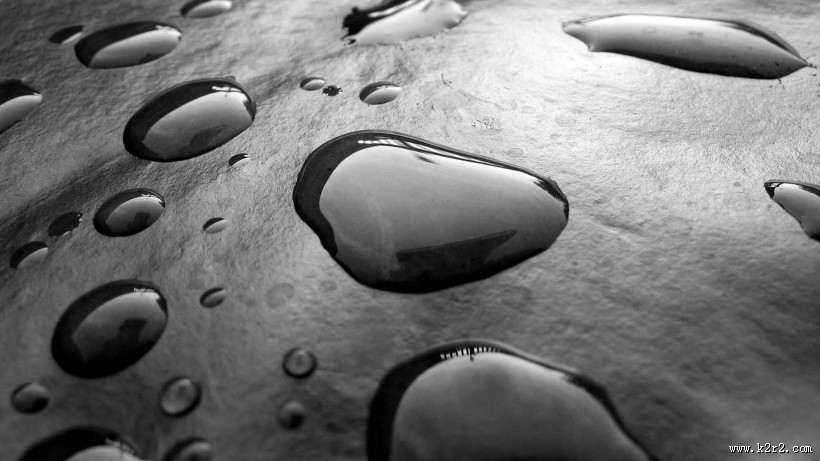 植物上的露珠图片