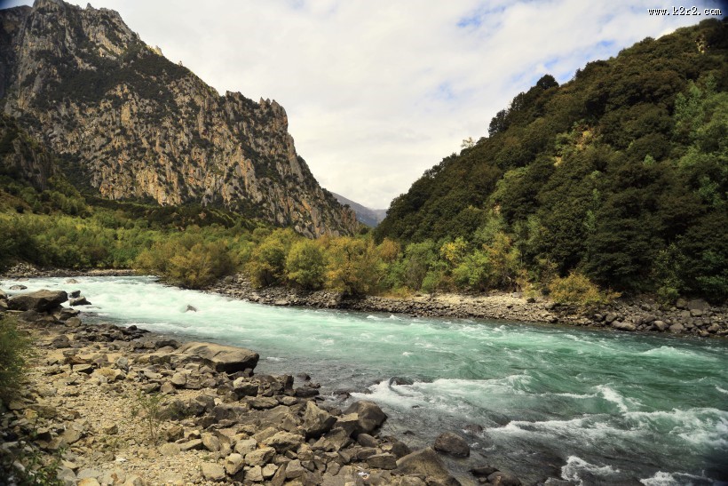 尼洋河风光图片