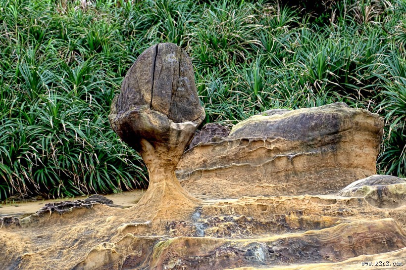 海滩上的怪石图片