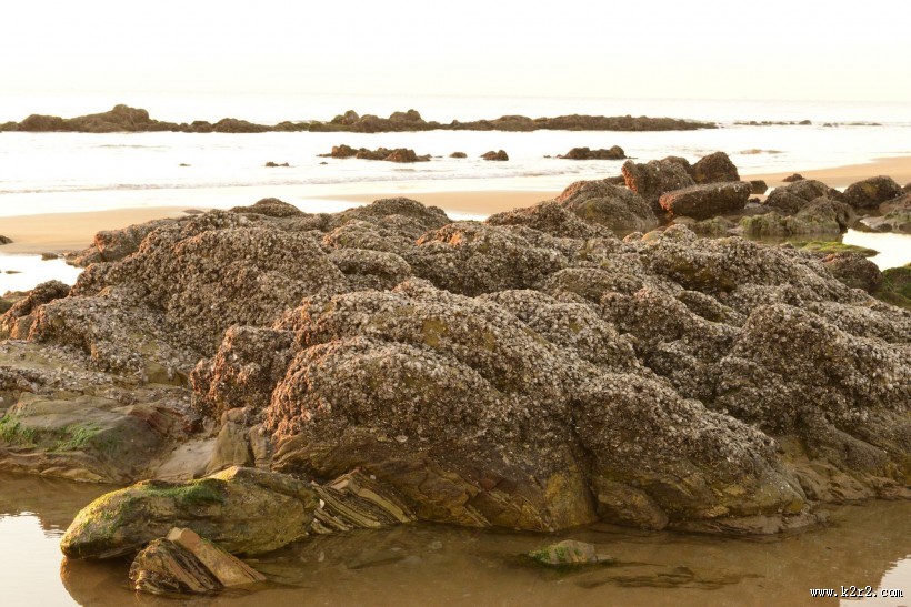 海滩礁石图片