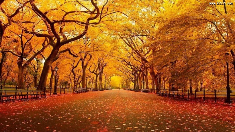 秋天的风景画图片大全