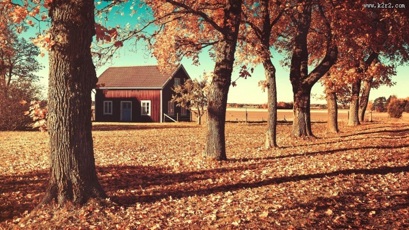 秋天的风景画图片大全