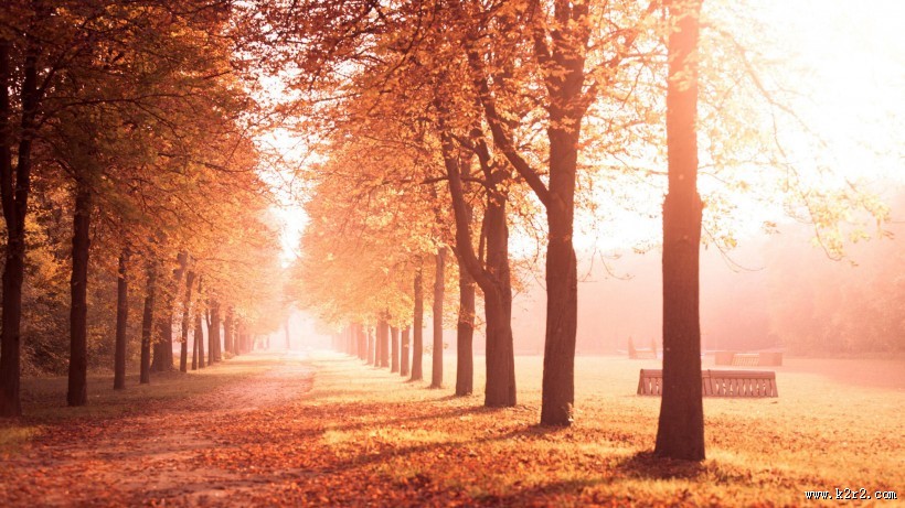 秋天的风景画图片大全