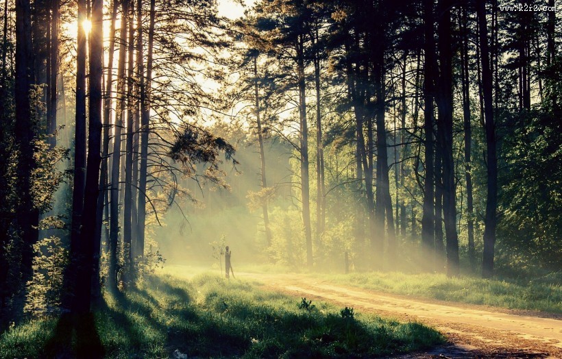 林间道路图片