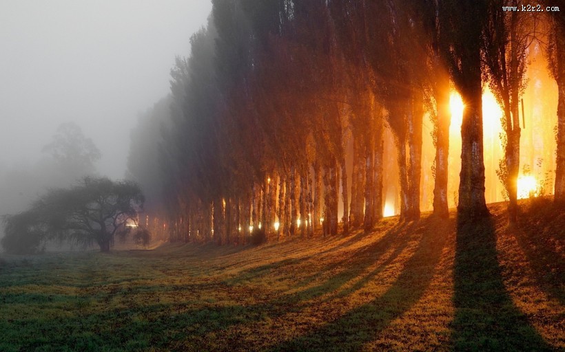 秋天的森林图片大全