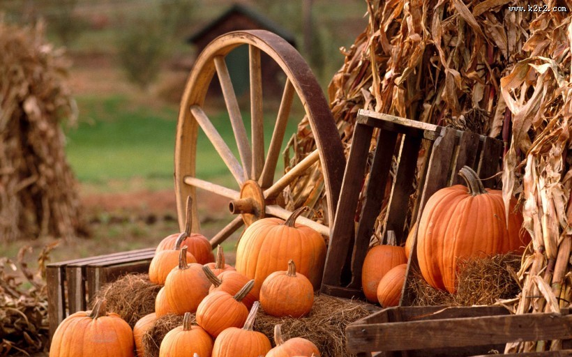 秋天丰收的美景图片大全