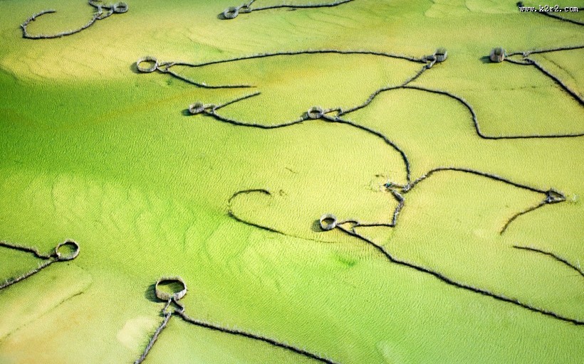 非洲自然景色图片大全