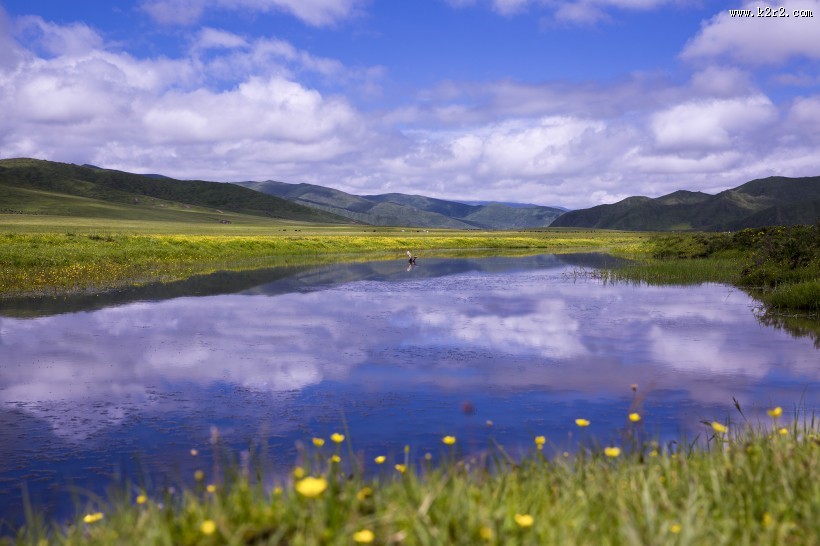 若尔盖草原风光图片