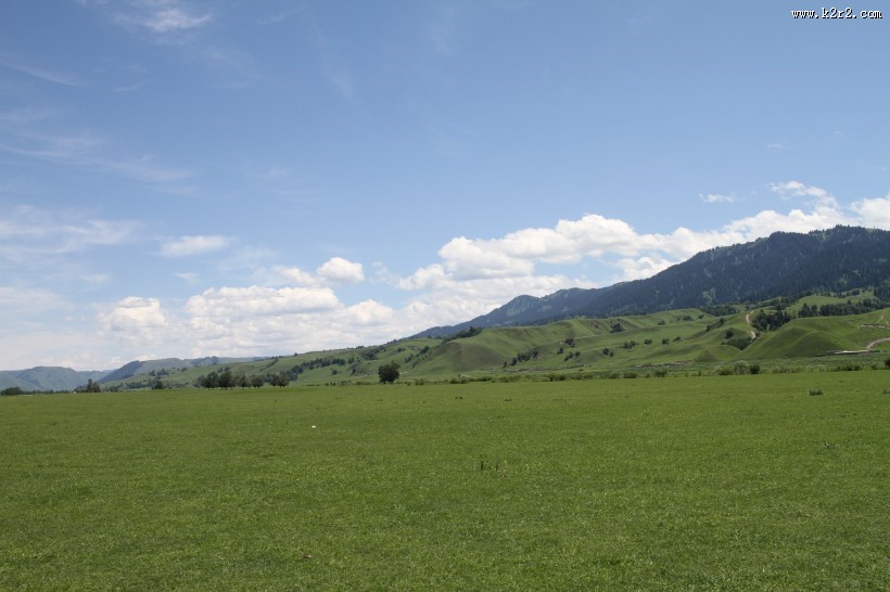 那拉提草原风光图片