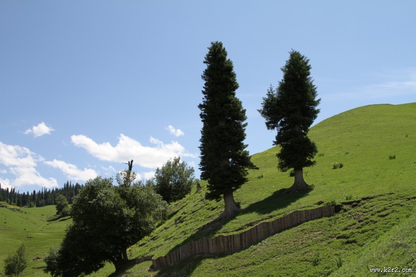 那拉提草原风光图片