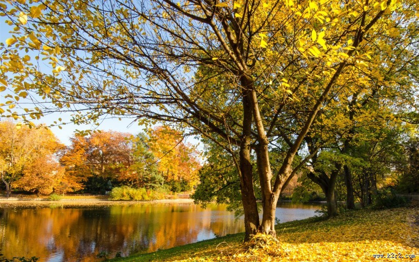 金黄秋天湖泊唯美风光图片