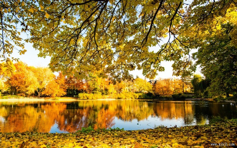 金黄秋天湖泊唯美风光图片