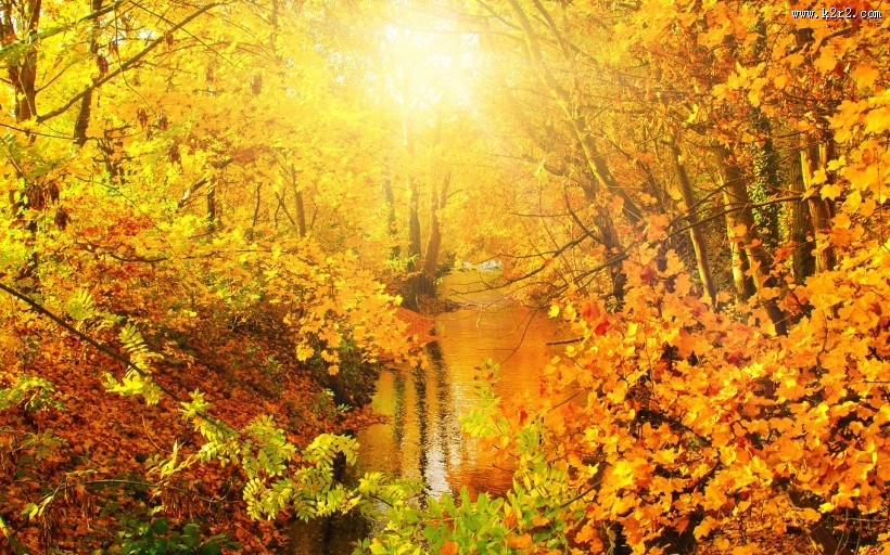 金黄秋天湖泊唯美风光图片