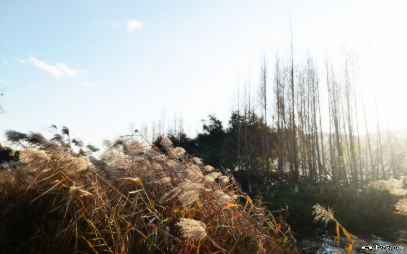 暮色中的滇池图片大全