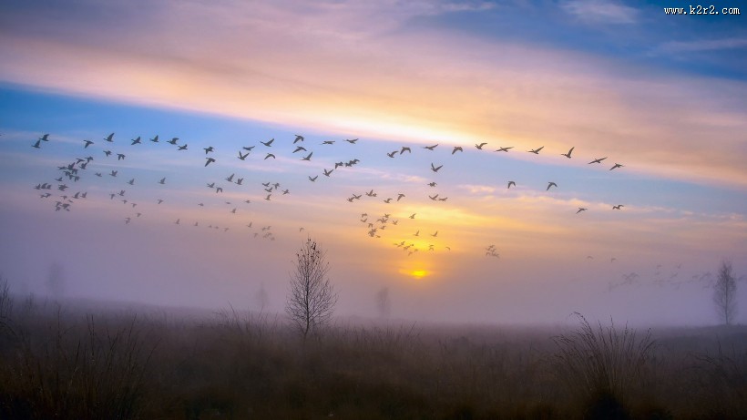 清晨第一缕阳光图片大全