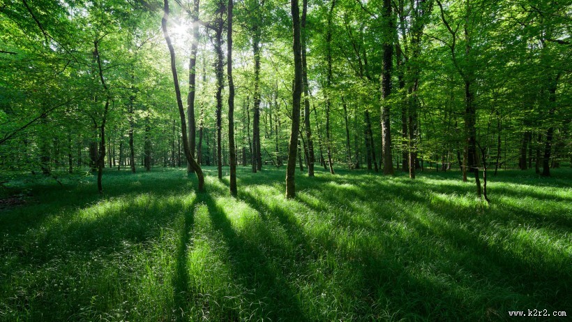 绿色清新自然风景图片大全