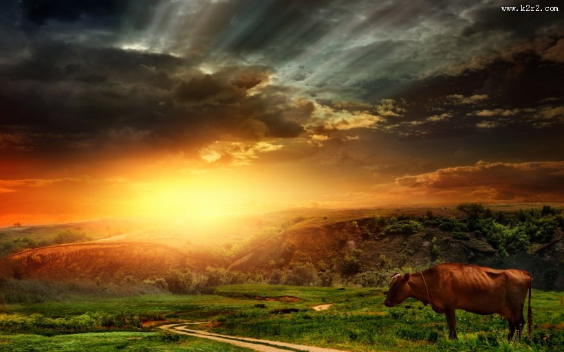 灿烂朝霞风景图片