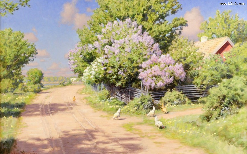 简约的乡村风景图片