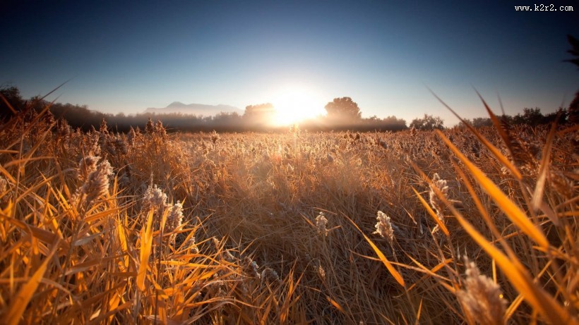 简约的乡村风景图片