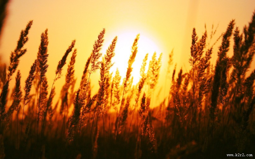 唯美的落日图片大全