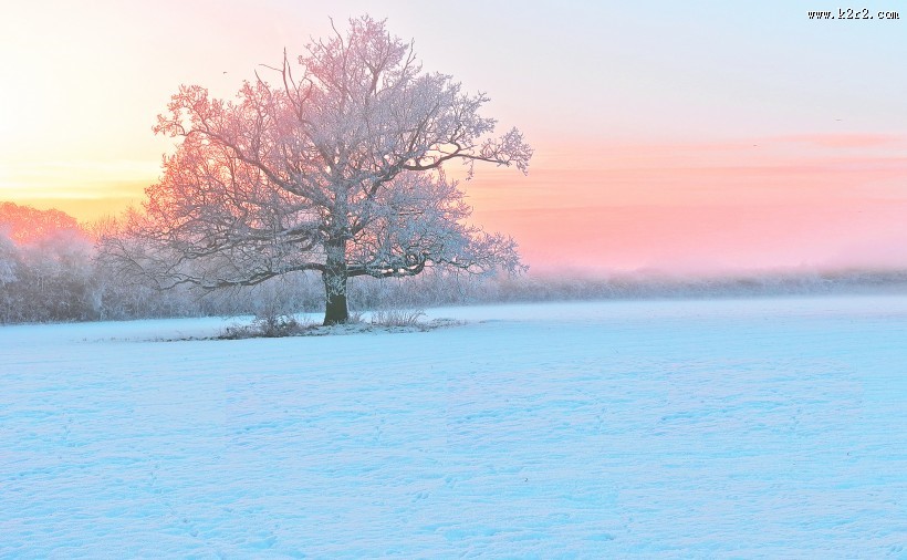 唯美的雪景图片大全