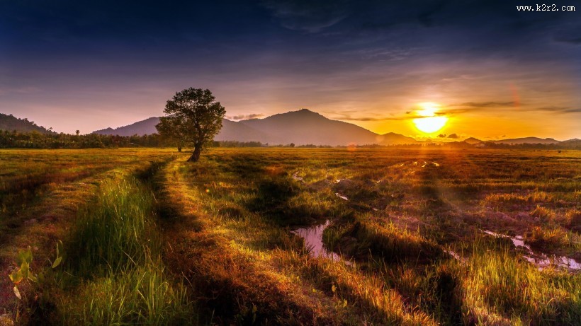 唯美的秋叶风景图片