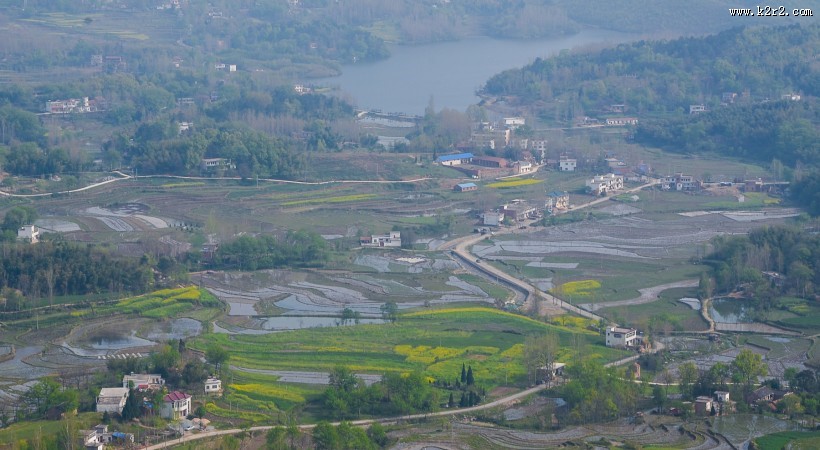 清晨茶园薄雾风景图片