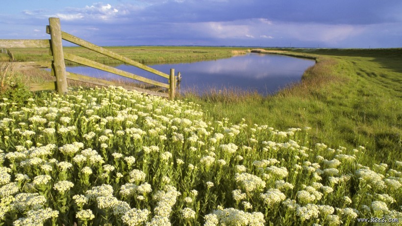 静谧的湖泊图片大全