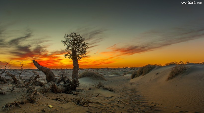 荒凉的沙漠风景图片大全