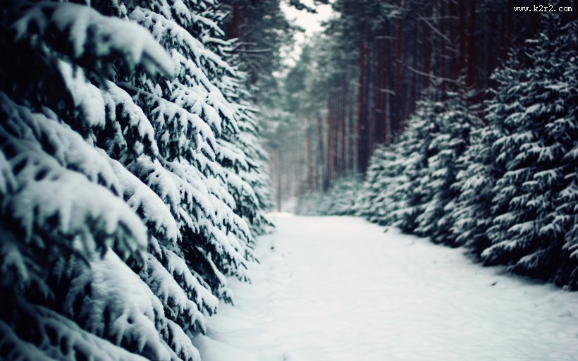 大雪纷飞的冬季美景图片