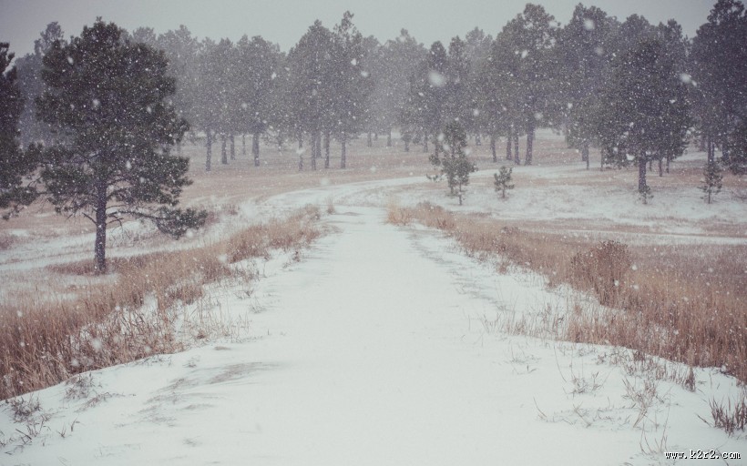 大雪纷飞的冬季美景图片