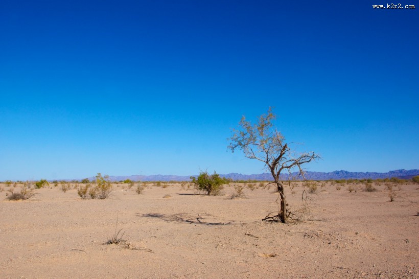 地面土壤图片大全