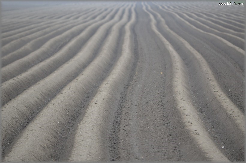 地面土壤图片大全