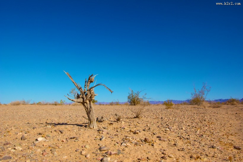 地面土壤图片大全