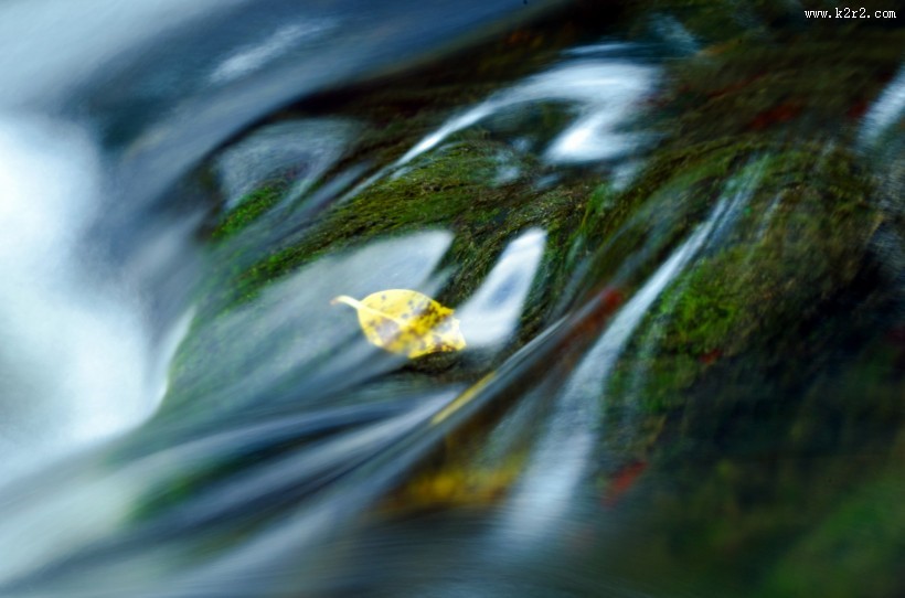 长水藻的水面图片